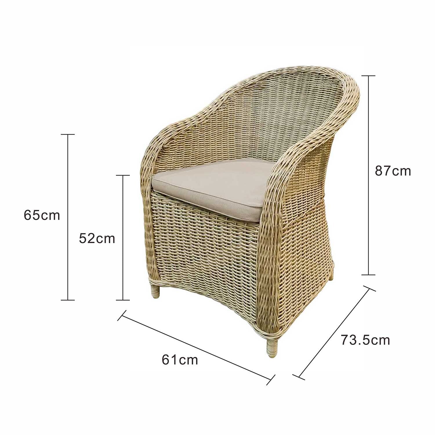 [Clearance] Durham Wicker Outdoor Dining Chair at Moorabbin (MOR) VIC Store Only - Image 7